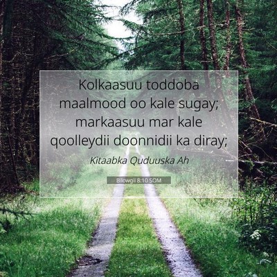 Picture 07 - Bilowgii 8:10 SOM - Kolkaasuu toddoba maalmood oo kale sugay; - Bible Verse Picture