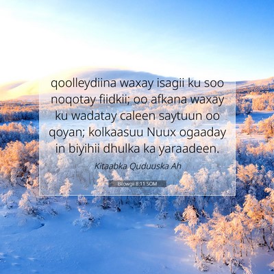 Picture 07 - Bilowgii 8:11 SOM - qoolleydiina waxay isagii ku soo noqotay fiidkii; - Bible Verse Picture