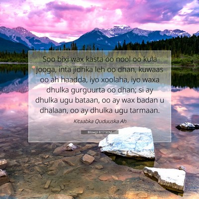 Picture 07 - Bilowgii 8:17 SOM - Soo bixi wax kasta oo nool oo kula jooga, inta - Bible Verse Picture