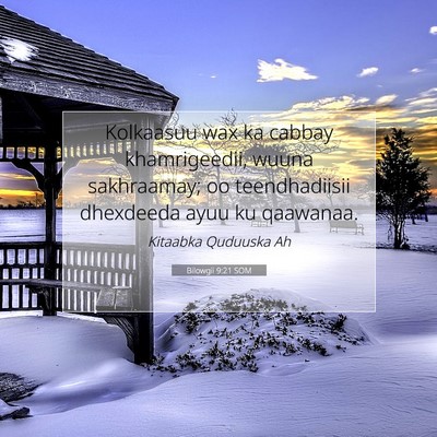 Picture 07 - Bilowgii 9:21 SOM - Kolkaasuu wax ka cabbay khamrigeedii, wuuna - Bible Verse Picture