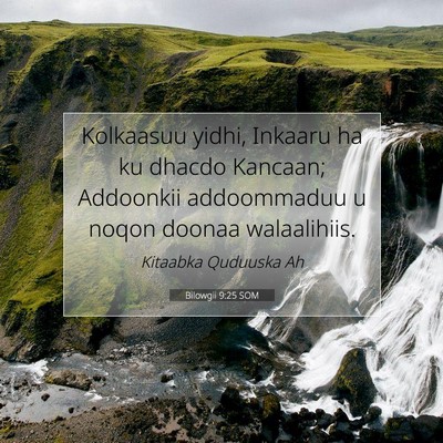 Picture 07 - Bilowgii 9:25 SOM - Kolkaasuu yidhi, Inkaaru ha ku dhacdo Kancaan; - Bible Verse Picture