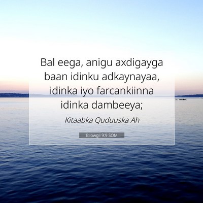 Picture 07 - Bilowgii 9:9 SOM - Bal eega, anigu axdigayga baan idinku adkaynayaa, - Bible Verse Picture