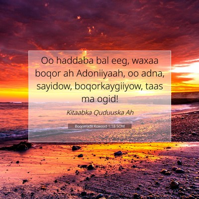 Picture 07 - Boqorradii Kowaad 1:18 SOM - Oo haddaba bal eeg, waxaa boqor ah Adoniiyaah, oo - Bible Verse Picture