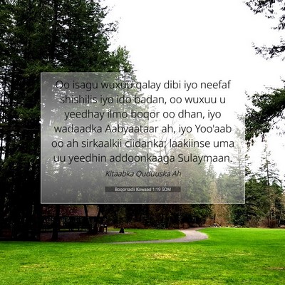 Picture 07 - Boqorradii Kowaad 1:19 SOM - Oo isagu wuxuu qalay dibi iyo neefaf shishilis - Bible Verse Picture