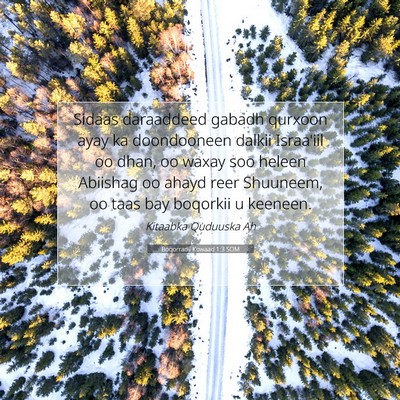 Picture 07 - Boqorradii Kowaad 1:3 SOM - Sidaas daraaddeed gabadh qurxoon ayay ka - Bible Verse Picture