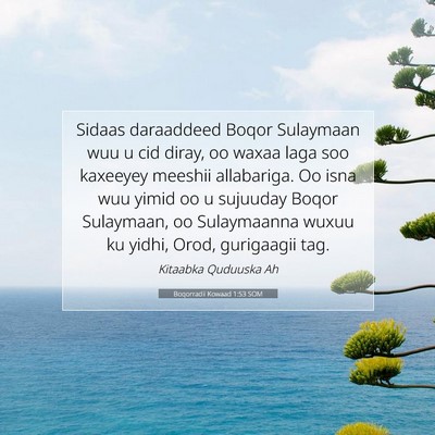 Picture 07 - Boqorradii Kowaad 1:53 SOM - Sidaas daraaddeed Boqor Sulaymaan wuu u cid - Bible Verse Picture