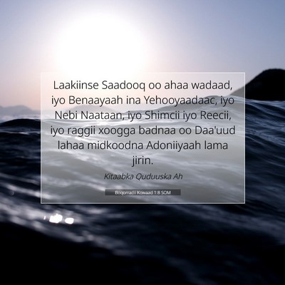 Picture 07 - Boqorradii Kowaad 1:8 SOM - Laakiinse Saadooq oo ahaa wadaad, iyo Benaayaah - Bible Verse Picture