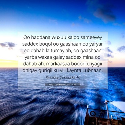 Picture 07 - Boqorradii Kowaad 10:17 SOM - Oo haddana wuxuu kaloo sameeyey saddex boqol oo - Bible Verse Picture