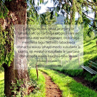 Picture 07 - Boqorradii Kowaad 10:19 SOM - Carshigu wuxuu lahaa jaranjaro lix tallaabo ah, - Bible Verse Picture