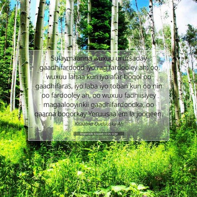 Picture 07 - Boqorradii Kowaad 10:26 SOM - Sulaymaanna wuxuu urursaday gaadhifardood iyo rag - Bible Verse Picture