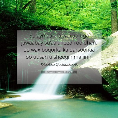 Picture 07 - Boqorradii Kowaad 10:3 SOM - Sulaymaanna wuxuu uga jawaabay su'aalaheedii oo - Bible Verse Picture