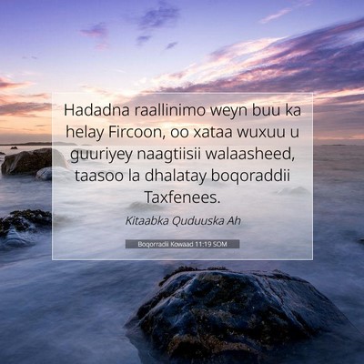 Picture 07 - Boqorradii Kowaad 11:19 SOM - Hadadna raallinimo weyn buu ka helay Fircoon, oo - Bible Verse Picture
