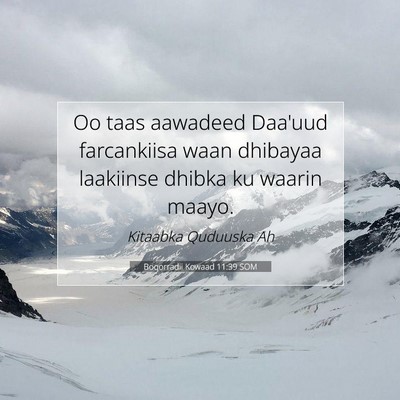 Picture 07 - Boqorradii Kowaad 11:39 SOM - Oo taas aawadeed Daa'uud farcankiisa waan - Bible Verse Picture