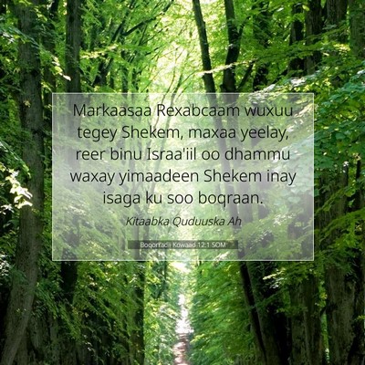 Picture 07 - Boqorradii Kowaad 12:1 SOM - Markaasaa Rexabcaam wuxuu tegey Shekem, maxaa - Bible Verse Picture