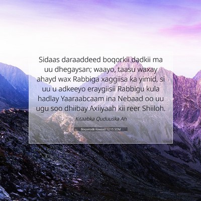 Picture 07 - Boqorradii Kowaad 12:15 SOM - Sidaas daraaddeed boqorkii dadkii ma uu - Bible Verse Picture