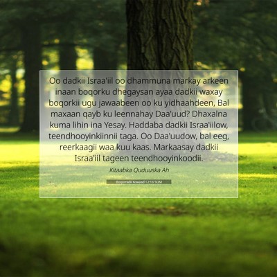 Picture 07 - Boqorradii Kowaad 12:16 SOM - Oo dadkii Israa'iil oo dhammuna markay arkeen - Bible Verse Picture