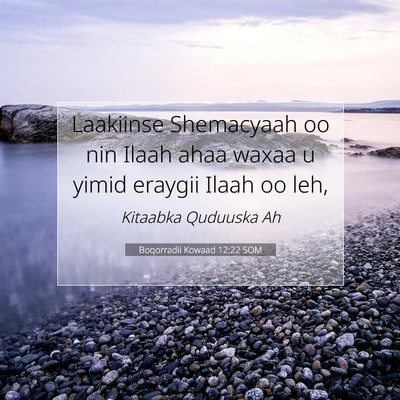 Picture 07 - Boqorradii Kowaad 12:22 SOM - Laakiinse Shemacyaah oo nin Ilaah ahaa waxaa u - Bible Verse Picture