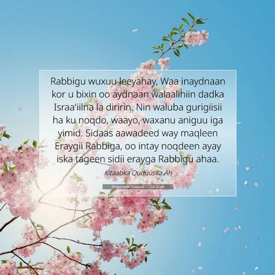 Picture 07 - Boqorradii Kowaad 12:24 SOM - Rabbigu wuxuu leeyahay, Waa inaydnaan kor u bixin - Bible Verse Picture