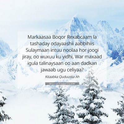 Picture 07 - Boqorradii Kowaad 12:6 SOM - Markaasaa Boqor Rexabcaam la tashaday odayaashii - Bible Verse Picture
