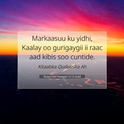 Picture 07 - Boqorradii Kowaad 13:15 SOM - Markaasuu ku yidhi, Kaalay oo gurigaygii ii raac - Bible Verse Picture