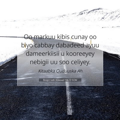 Picture 07 - Boqorradii Kowaad 13:23 SOM - Oo markuu kibis cunay oo biyo cabbay dabadeed - Bible Verse Picture