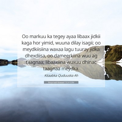 Picture 07 - Boqorradii Kowaad 13:24 SOM - Oo markuu ka tegey ayaa libaax jidkii kaga hor - Bible Verse Picture