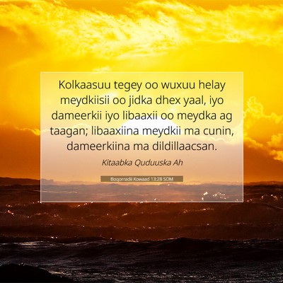 Picture 07 - Boqorradii Kowaad 13:28 SOM - Kolkaasuu tegey oo wuxuu helay meydkiisii oo - Bible Verse Picture