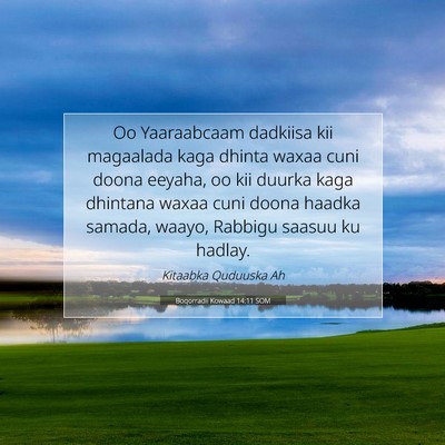 Picture 07 - Boqorradii Kowaad 14:11 SOM - Oo Yaaraabcaam dadkiisa kii magaalada kaga dhinta - Bible Verse Picture