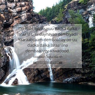 Picture 07 - Boqorradii Kowaad 14:16 SOM - Oo Rabbigu wuxuu dadka dalka Israa'iil u sii - Bible Verse Picture