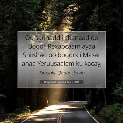 Picture 07 - Boqorradii Kowaad 14:25 SOM - Oo sannaddii shanaad oo Boqor Rexabcaam ayaa - Bible Verse Picture