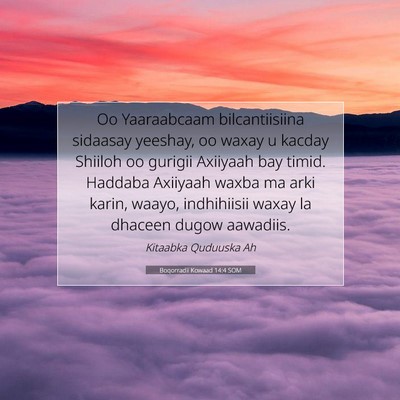 Picture 07 - Boqorradii Kowaad 14:4 SOM - Oo Yaaraabcaam bilcantiisiina sidaasay yeeshay, - Bible Verse Picture