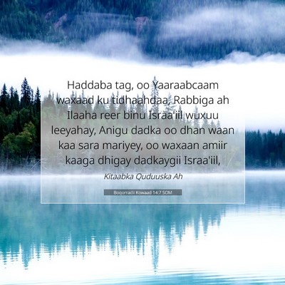 Picture 07 - Boqorradii Kowaad 14:7 SOM - Haddaba tag, oo Yaaraabcaam waxaad ku tidhaahdaa, - Bible Verse Picture