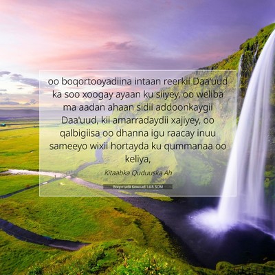 Picture 07 - Boqorradii Kowaad 14:8 SOM - oo boqortooyadiina intaan reerkii Daa'uud ka soo - Bible Verse Picture