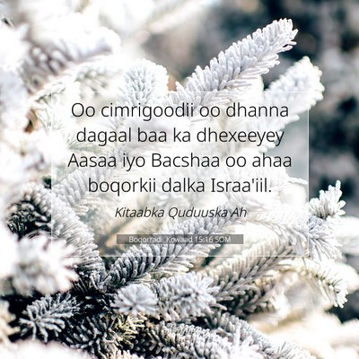 Picture 07 - Boqorradii Kowaad 15:16 SOM - Oo cimrigoodii oo dhanna dagaal baa ka dhexeeyey - Bible Verse Picture