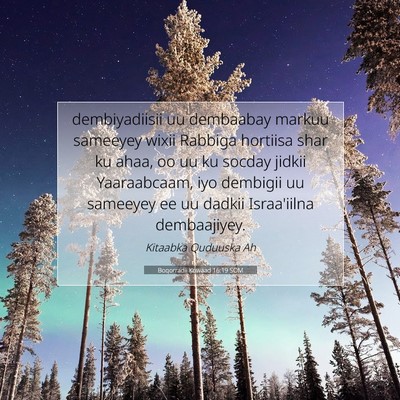 Picture 07 - Boqorradii Kowaad 16:19 SOM - dembiyadiisii uu dembaabay markuu sameeyey wixii - Bible Verse Picture