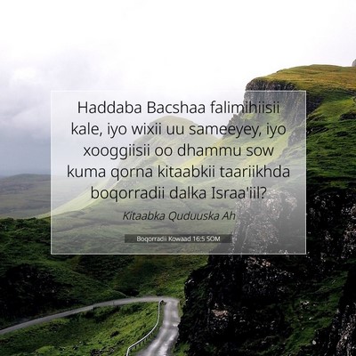 Picture 07 - Boqorradii Kowaad 16:5 SOM - Haddaba Bacshaa falimihiisii kale, iyo wixii uu - Bible Verse Picture