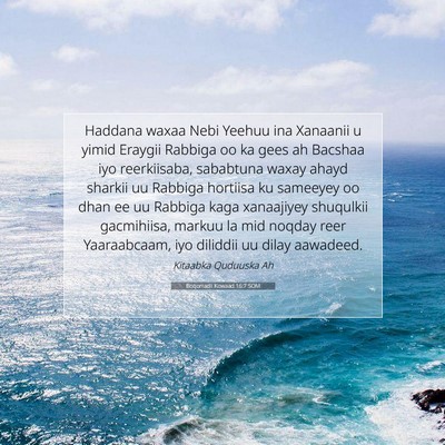 Picture 07 - Boqorradii Kowaad 16:7 SOM - Haddana waxaa Nebi Yeehuu ina Xanaanii u yimid - Bible Verse Picture