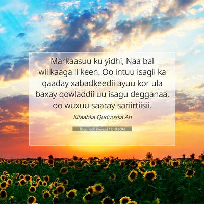 Picture 07 - Boqorradii Kowaad 17:19 SOM - Markaasuu ku yidhi, Naa bal wiilkaaga ii keen. Oo - Bible Verse Picture