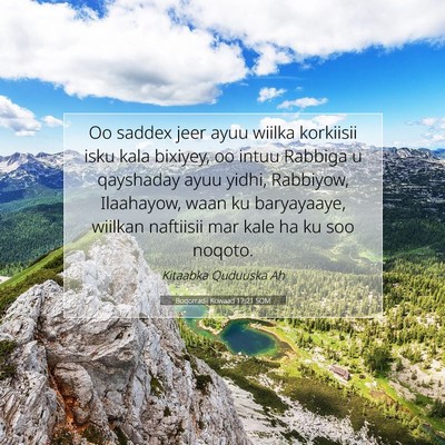 Picture 07 - Boqorradii Kowaad 17:21 SOM - Oo saddex jeer ayuu wiilka korkiisii isku kala - Bible Verse Picture