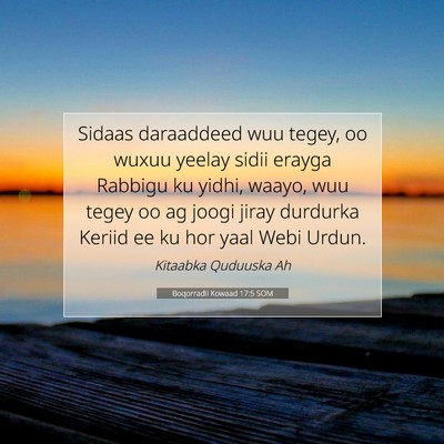 Picture 07 - Boqorradii Kowaad 17:5 SOM - Sidaas daraaddeed wuu tegey, oo wuxuu yeelay - Bible Verse Picture