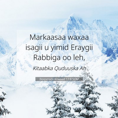Picture 07 - Boqorradii Kowaad 17:8 SOM - Markaasaa waxaa isagii u yimid Eraygii Rabbiga oo - Bible Verse Picture