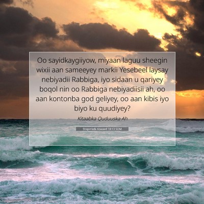 Picture 07 - Boqorradii Kowaad 18:13 SOM - Oo sayidkaygiiyow, miyaan laguu sheegin wixii aan - Bible Verse Picture