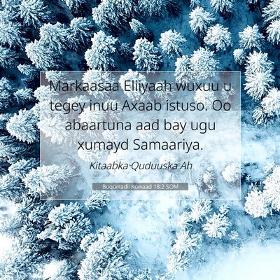 Picture 07 - Boqorradii Kowaad 18:2 SOM - Markaasaa Eliiyaah wuxuu u tegey inuu Axaab - Bible Verse Picture