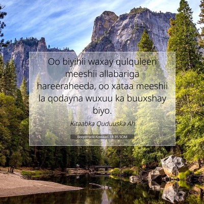 Picture 07 - Boqorradii Kowaad 18:35 SOM - Oo biyihii waxay qulquleen meeshii allabariga - Bible Verse Picture