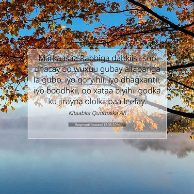 Picture 07 - Boqorradii Kowaad 18:38 SOM - Markaasaa Rabbiga dabkiisii soo dhacay oo wuxuu - Bible Verse Picture