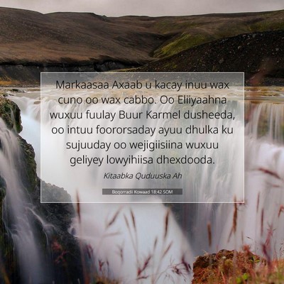Picture 07 - Boqorradii Kowaad 18:42 SOM - Markaasaa Axaab u kacay inuu wax cuno oo wax - Bible Verse Picture