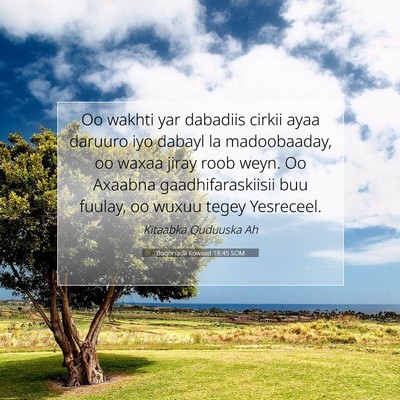 Picture 07 - Boqorradii Kowaad 18:45 SOM - Oo wakhti yar dabadiis cirkii ayaa daruuro iyo - Bible Verse Picture