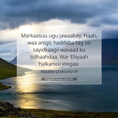 Picture 07 - Boqorradii Kowaad 18:8 SOM - Markaasuu ugu jawaabay, Haah, waa anigii; haddaba - Bible Verse Picture