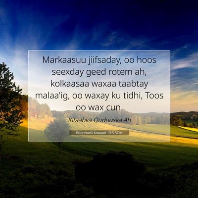 Picture 07 - Boqorradii Kowaad 19:5 SOM - Markaasuu jiifsaday, oo hoos seexday geed rotem - Bible Verse Picture