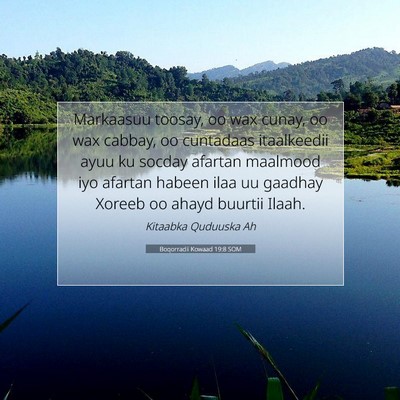 Picture 07 - Boqorradii Kowaad 19:8 SOM - Markaasuu toosay, oo wax cunay, oo wax cabbay, oo - Bible Verse Picture
